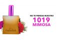 perfumes para octubre
